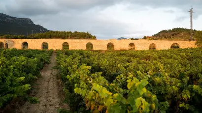 viñedos con acueducto de fondo