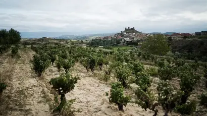 viña garugele