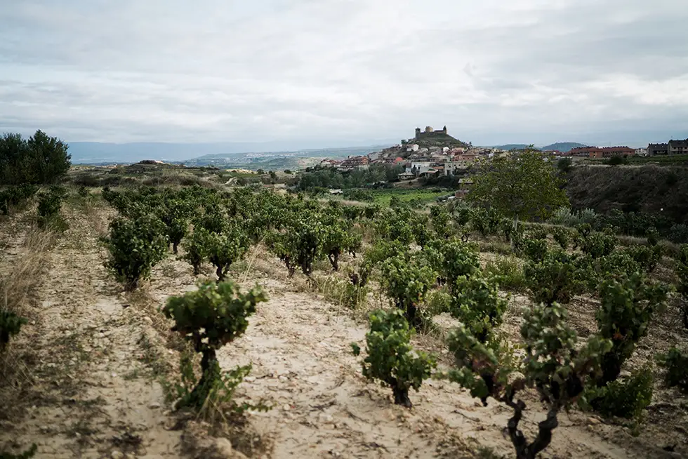 Viña Garugele
