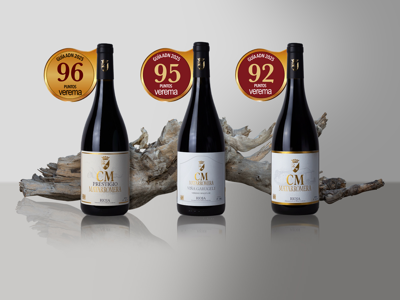 Noticias Bodega CM Matarromera: Actualidad del vino